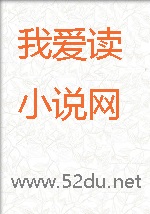 正气寻妇录